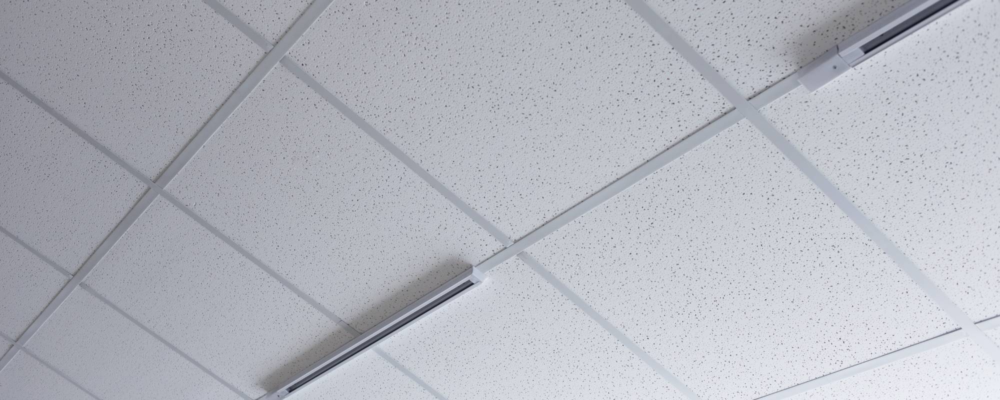 Fougère basique - Dalle de plafond , 60 x 60 cm